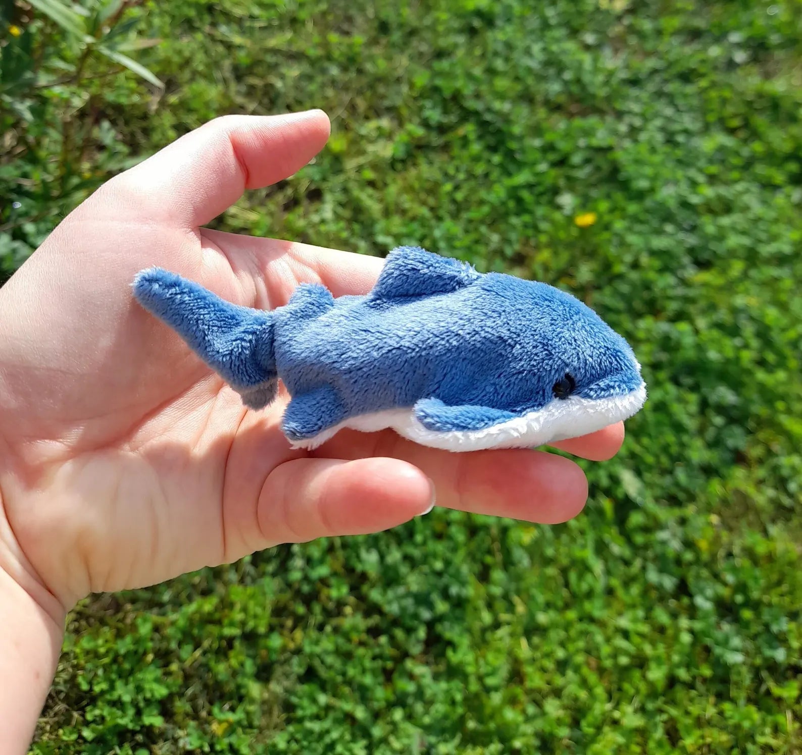Realistic Whale Shark Anti-Stress Toy – Soft, Stretchable and Highly Detailed